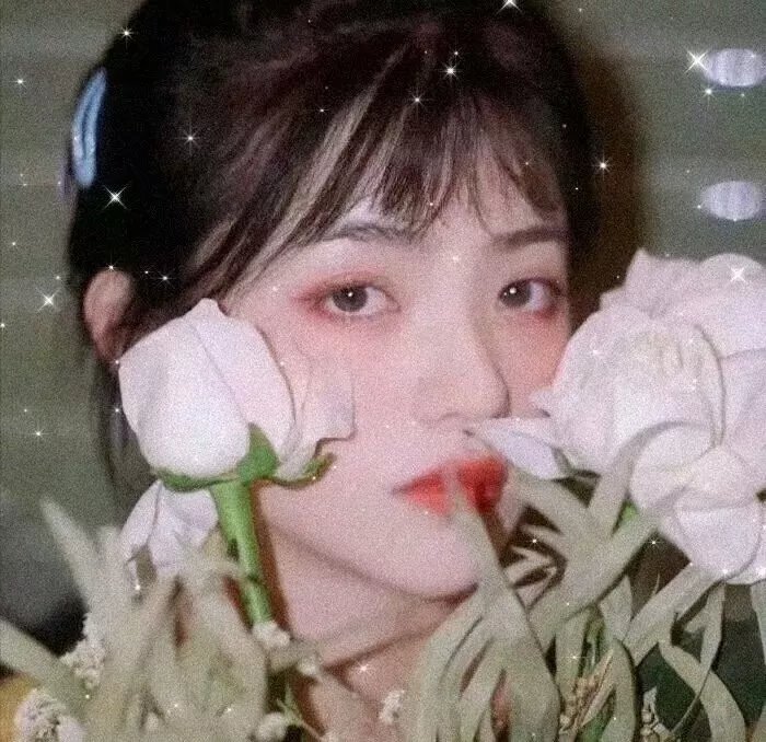 北部丛林海报