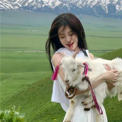 杜宾专员：一个悲痛的家庭海报